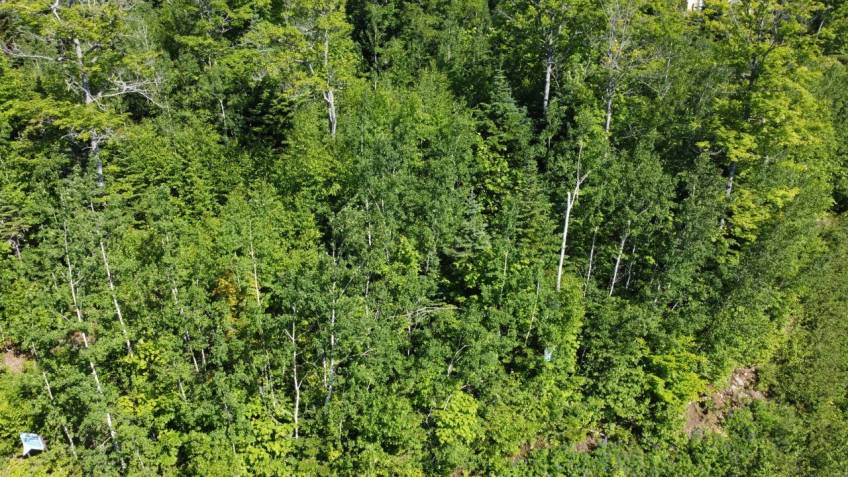3 - Lot and land for sale, Petite-Rivière-Saint-François (Code - pr788, Charlevoix)