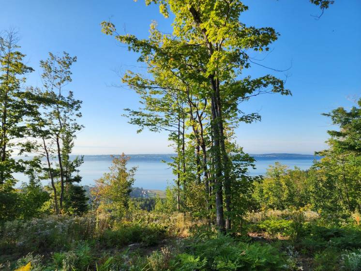 5 - Terrain et terre à vendre, Les Éboulements (Code - eb334, Charlevoix)