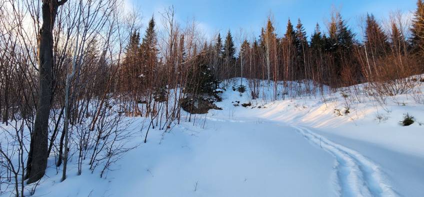 12 - Terrain et terre à vendre, Les Éboulements (Code - eb321, Charlevoix)