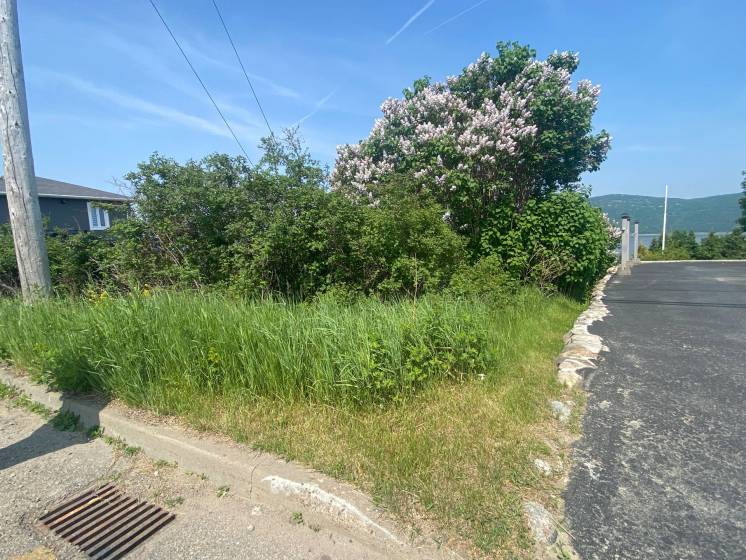 4 - Terrain et terre à vendre, L'Isle-aux-Coudres (Code - ic042, Charlevoix)