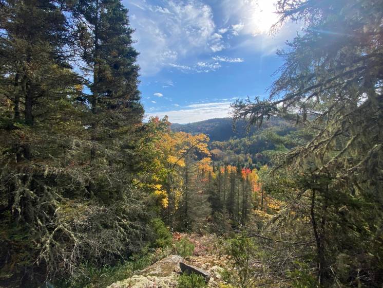 5 - Lot and land for sale, Saint-Siméon (Code - ss066, Charlevoix)