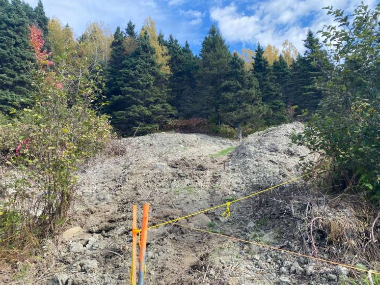 8 - Lot and land for sale, Saint-Siméon (Code - ss066, Charlevoix)