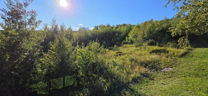 8 - Terrain et terre à vendre, Les Éboulements (Code - eb330, Charlevoix)