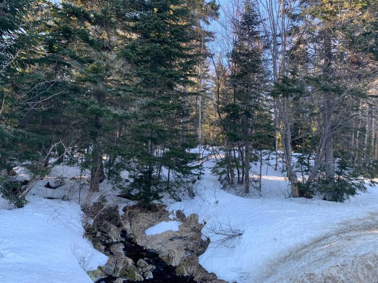 1 - Lot and land for sale, Petite-Rivière-Saint-François (Code - pr783, Charlevoix)