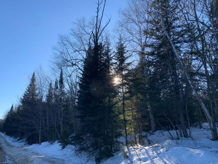 3 - Lot and land for sale, Petite-Rivière-Saint-François (Code - pr783, Charlevoix)