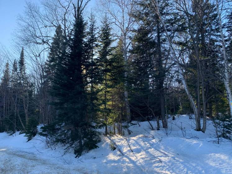 4 - Lot and land for sale, Petite-Rivière-Saint-François (Code - pr783, Charlevoix)