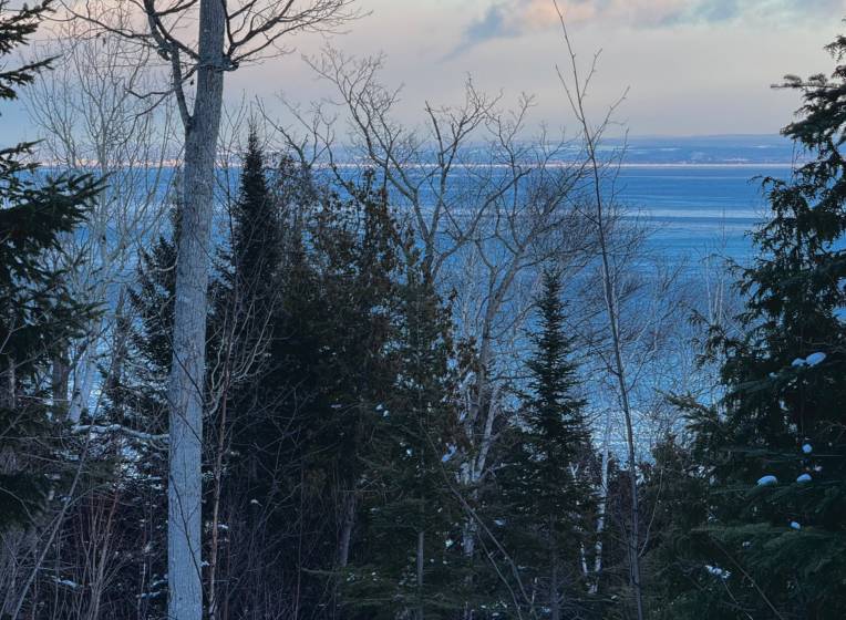 4 - Lot and land for sale, Petite-Rivière-Saint-François (Code - pr839, Charlevoix)