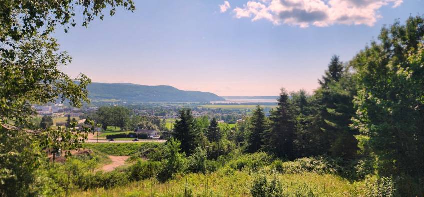 4 - Lot and land for sale, Baie-Saint-Paul (Code - sp839, Charlevoix)