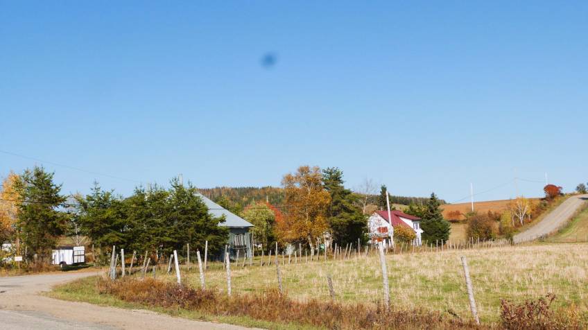 1 - House for sale, Saint-Hilarion (Code - sh045, Charlevoix)