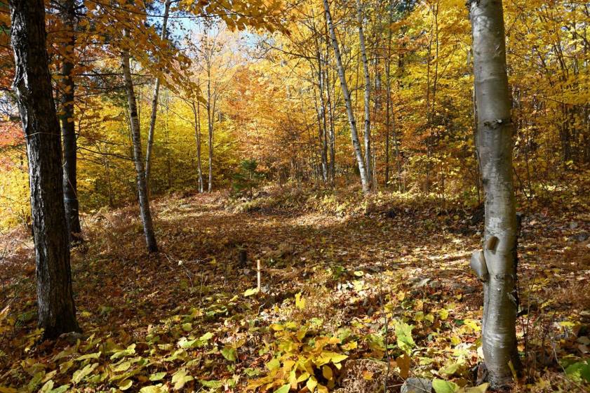 6 - Lot and land for sale, Baie-Saint-Paul (Code - sp883, Charlevoix)