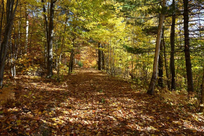 7 - Lot and land for sale, Baie-Saint-Paul (Code - sp883, Charlevoix)