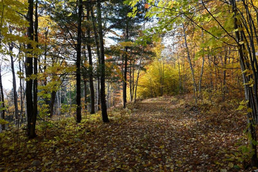 8 - Lot and land for sale, Baie-Saint-Paul (Code - sp883, Charlevoix)