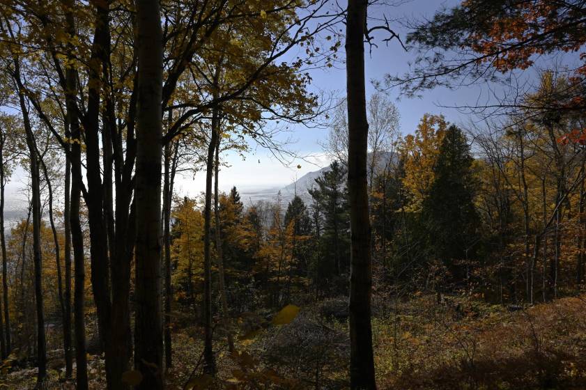 9 - Lot and land for sale, Baie-Saint-Paul (Code - sp883, Charlevoix)