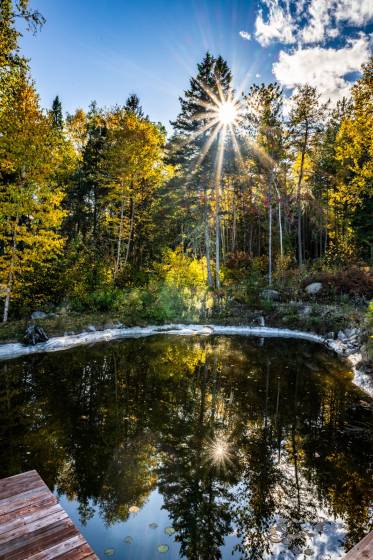 44 - Maison à vendre, Saint-Urbain (Code - su085, Charlevoix)