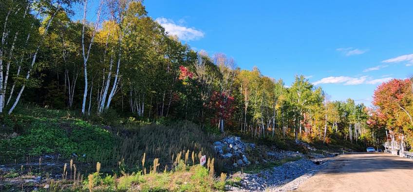 7 - Lot and land for sale, Baie-Saint-Paul (Code - sp841, Charlevoix)