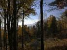 10 - Lot and land for sale, Baie-Saint-Paul (Code - sp908, Charlevoix)