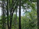 2 - Lot and land for sale, Baie-Saint-Paul (Code - sp908, Charlevoix)
