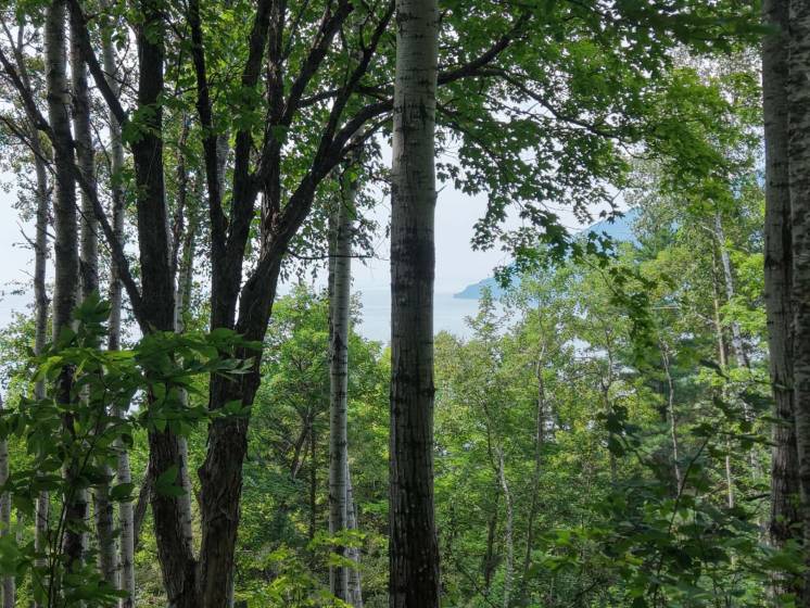 2 - Lot and land for sale, Baie-Saint-Paul (Code - sp908, Charlevoix)