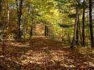 8 - Lot and land for sale, Baie-Saint-Paul (Code - sp908, Charlevoix)