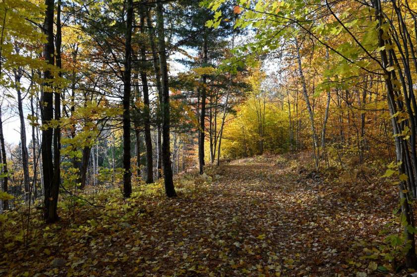 9 - Lot and land for sale, Baie-Saint-Paul (Code - sp908, Charlevoix)