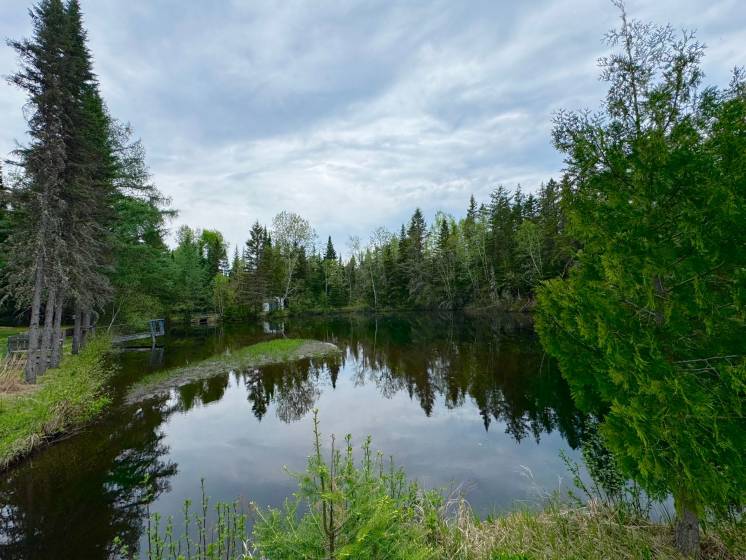 9 - House for sale, Saint-Hilarion (Code - sh047, Charlevoix)