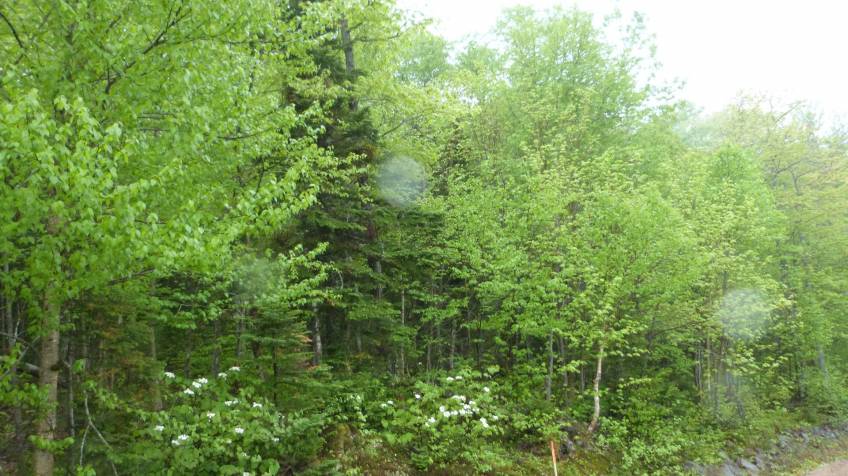 6 - Terrain et terre à vendre, Petite-Rivière-Saint-François (Code - pr814, Charlevoix)