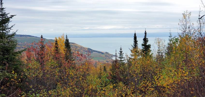17 - Terrain et terre à vendre, Les Éboulements (Code - eb333, Charlevoix)