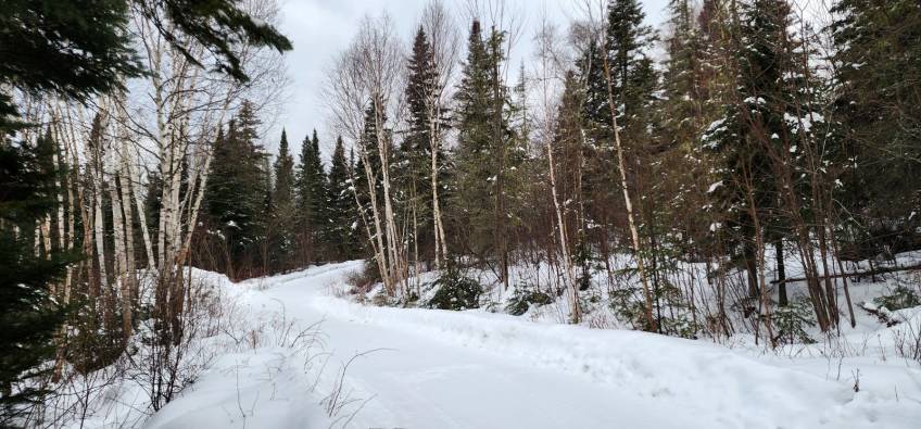 48 - Maison à vendre, Saint-Urbain (Code - su087, Charlevoix)