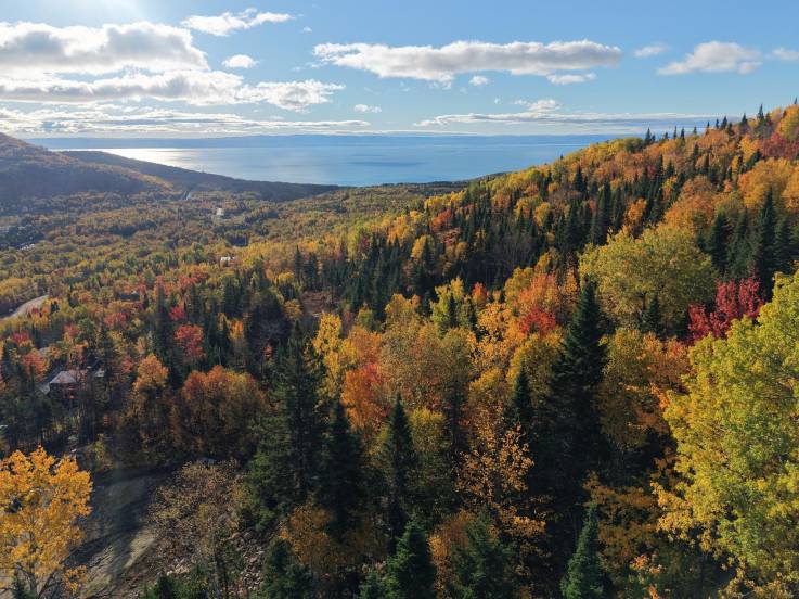 Lot and land for sale - Petite-Rivière-Saint-François, Charlevoix (PR872)