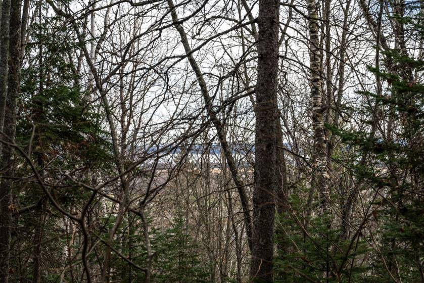 15 - Lot and land for sale, Baie-Saint-Paul (Code - sp826, Charlevoix)