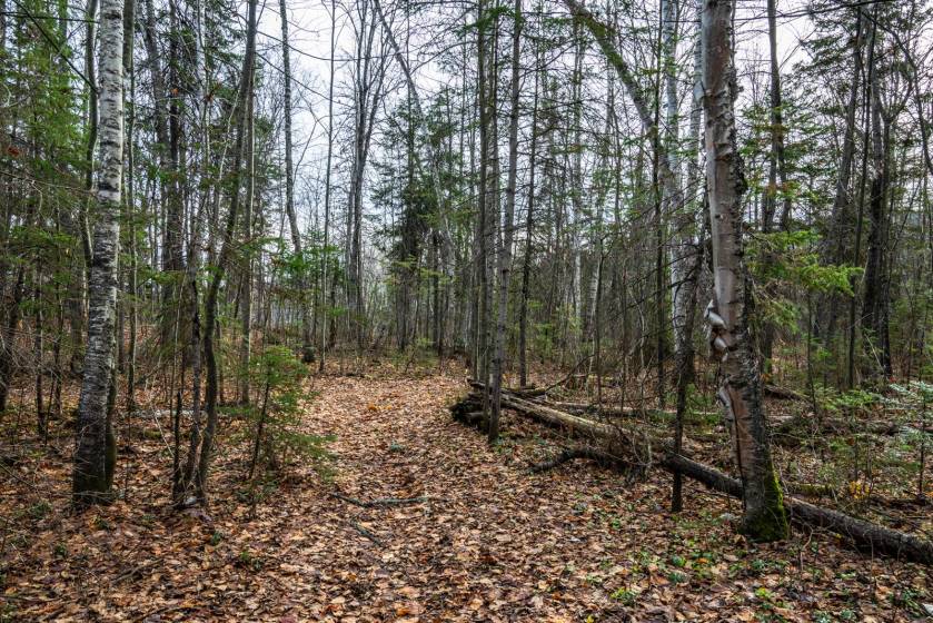 16 - Lot and land for sale, Baie-Saint-Paul (Code - sp826, Charlevoix)