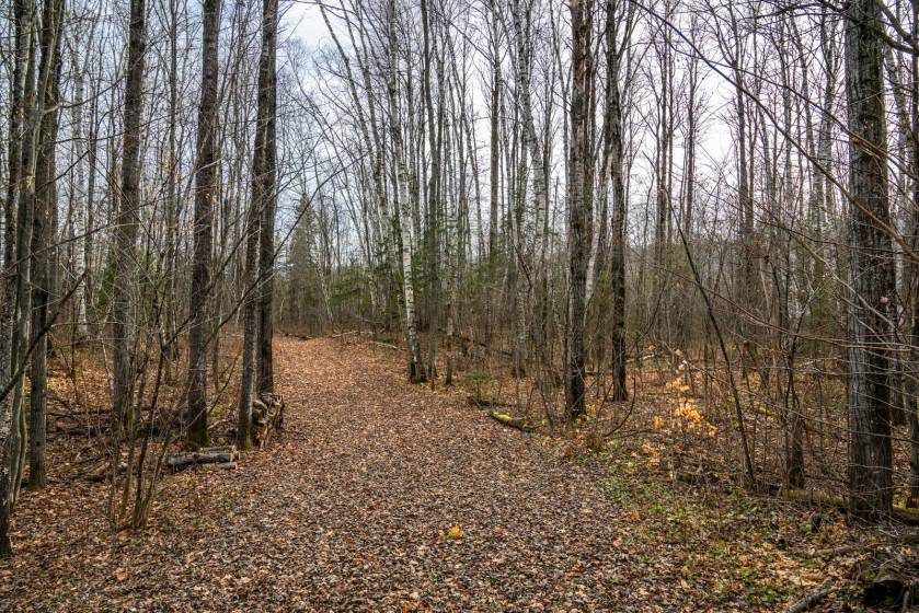 21 - Lot and land for sale, Baie-Saint-Paul (Code - sp826, Charlevoix)