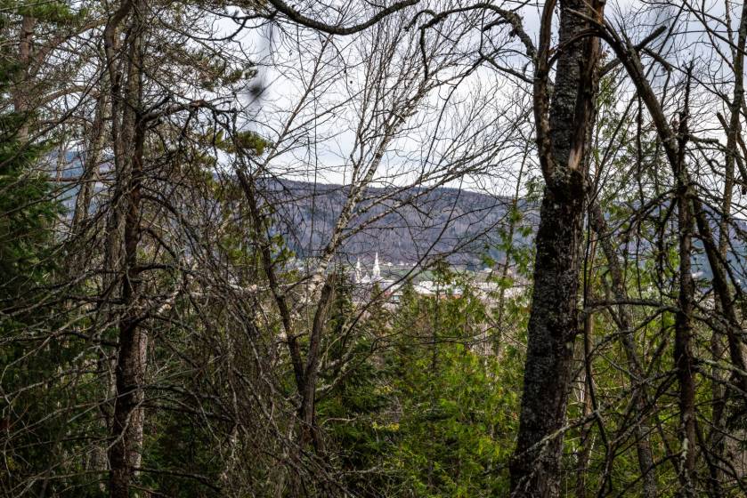 3 - Lot and land for sale, Baie-Saint-Paul (Code - sp826, Charlevoix)