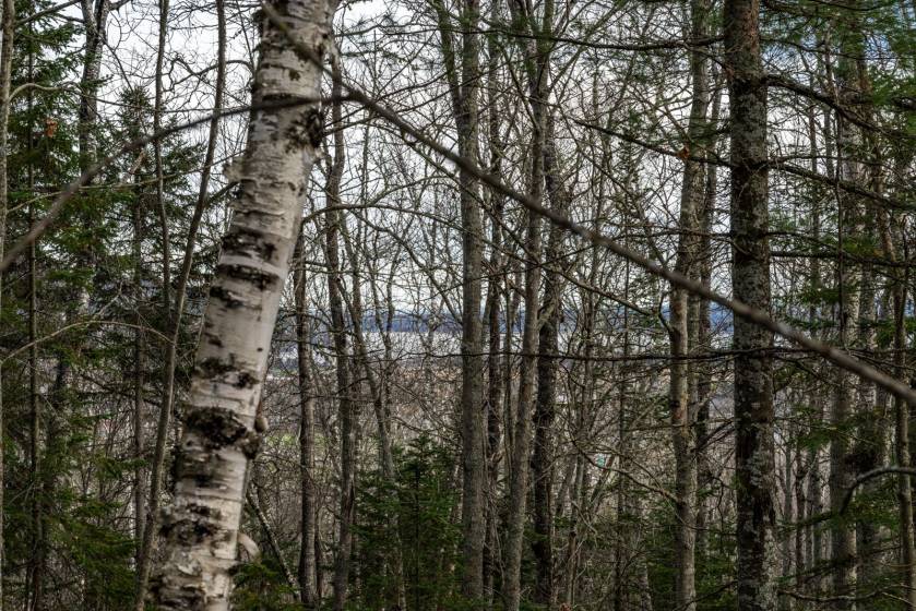 4 - Lot and land for sale, Baie-Saint-Paul (Code - sp826, Charlevoix)