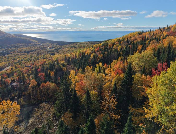 1 - Terrain et terre à vendre, Petite-Rivière-Saint-François (Code - pr874, Charlevoix)