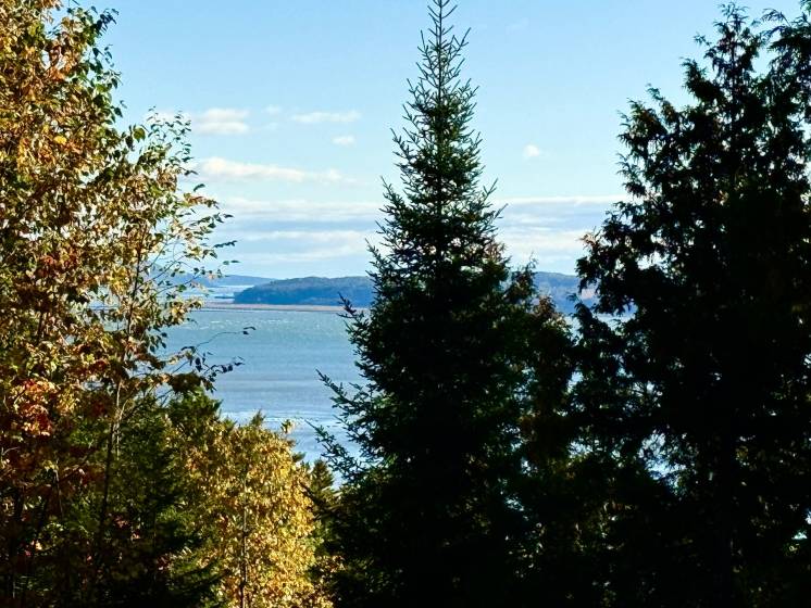 1 - Terrain et terre à vendre, Petite-Rivière-Saint-François (Code - pr826, Charlevoix)