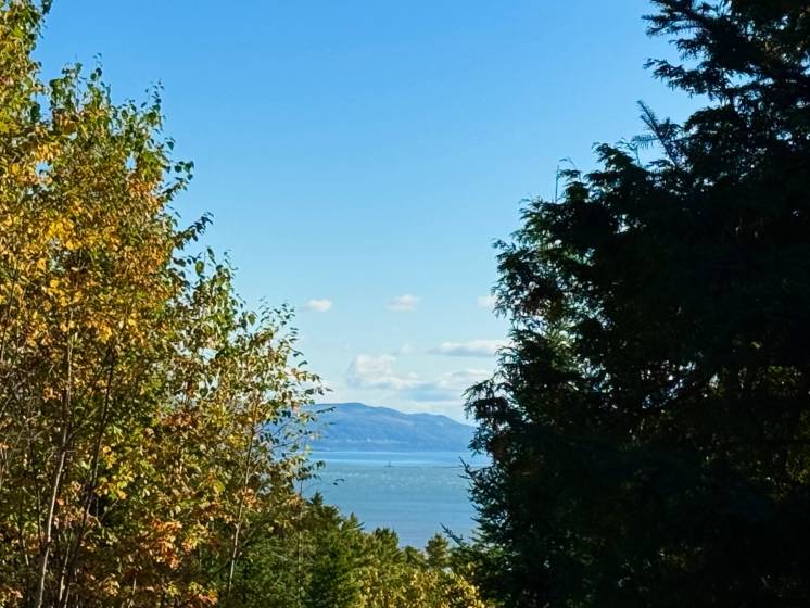 2 - Terrain et terre à vendre, Petite-Rivière-Saint-François (Code - pr826, Charlevoix)