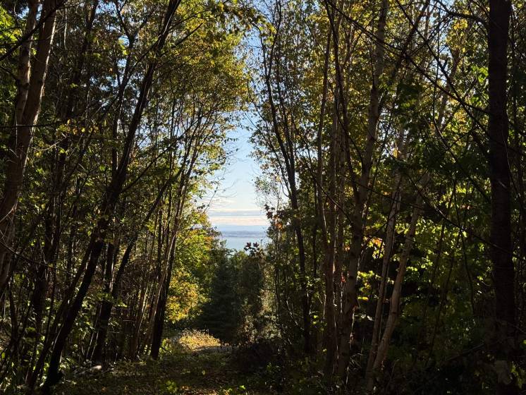 4 - Terrain et terre à vendre, Petite-Rivière-Saint-François (Code - pr826, Charlevoix)