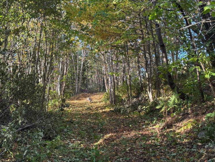 5 - Terrain et terre à vendre, Petite-Rivière-Saint-François (Code - pr826, Charlevoix)