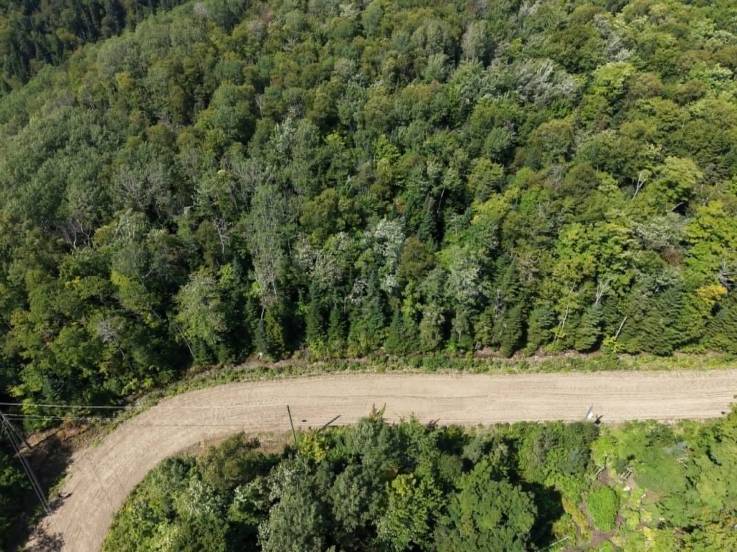 Terrain et terre à vendre - Petite-Rivière-Saint-François, Charlevoix (PR860)