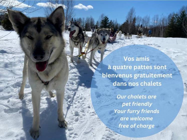 49 - House for sale, La Malbaie (Code - mb415, Charlevoix)