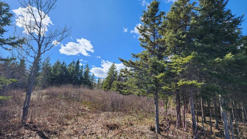 10 - Lot and land for sale, Les Éboulements (Code - eb282, Charlevoix)
