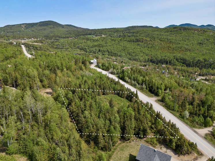 12 - Lot and land for sale, Les Éboulements (Code - eb282, Charlevoix)