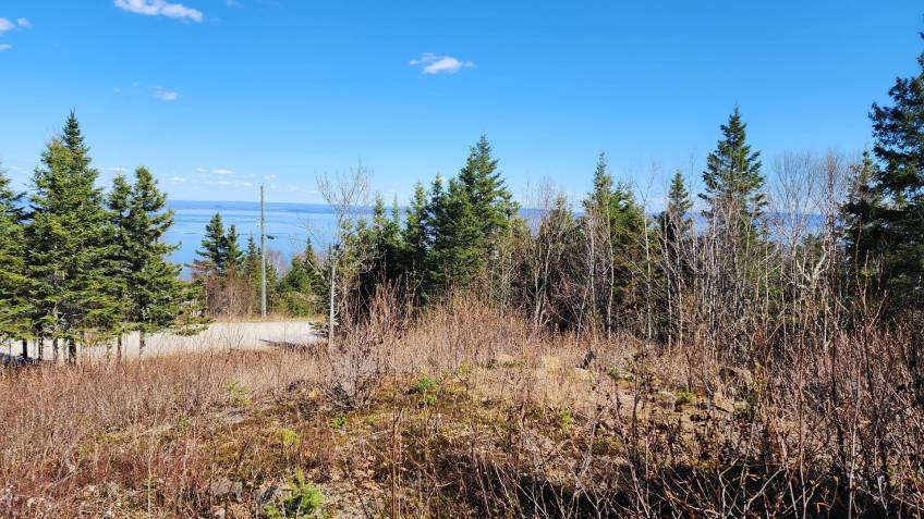 4 - Lot and land for sale, Les Éboulements (Code - eb282, Charlevoix)