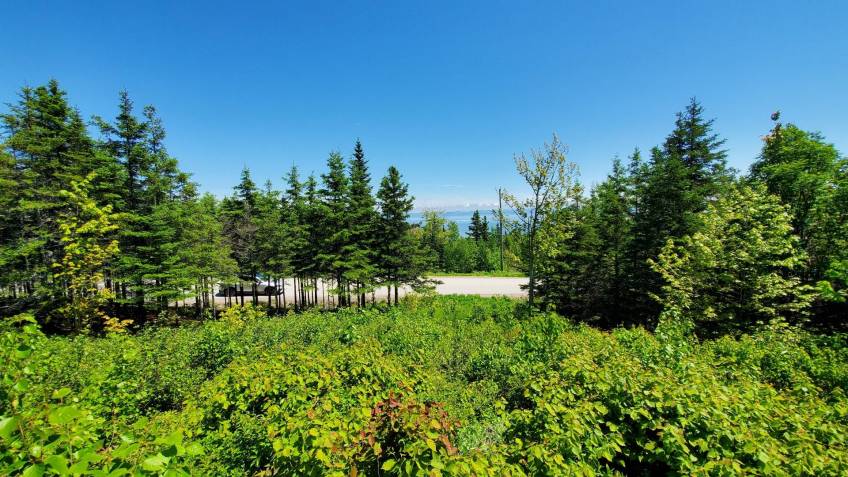 6 - Lot and land for sale, Les Éboulements (Code - eb282, Charlevoix)