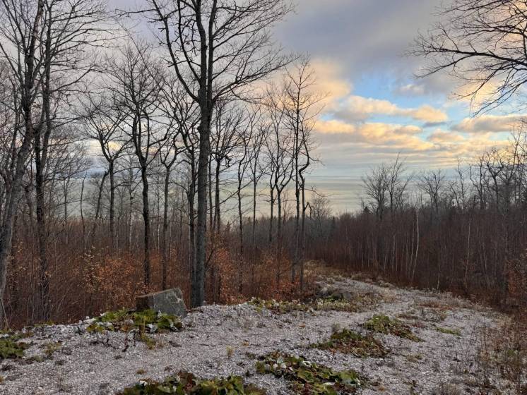 2 - Lot and land for sale, Petite-Rivière-Saint-François (Code - pr837, Charlevoix)