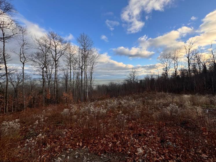 3 - Lot and land for sale, Petite-Rivière-Saint-François (Code - pr837, Charlevoix)