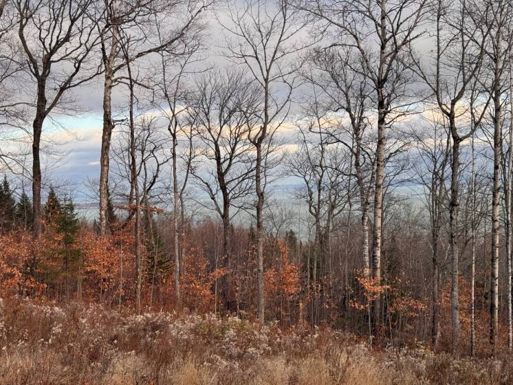 5 - Lot and land for sale, Petite-Rivière-Saint-François (Code - pr837, Charlevoix)