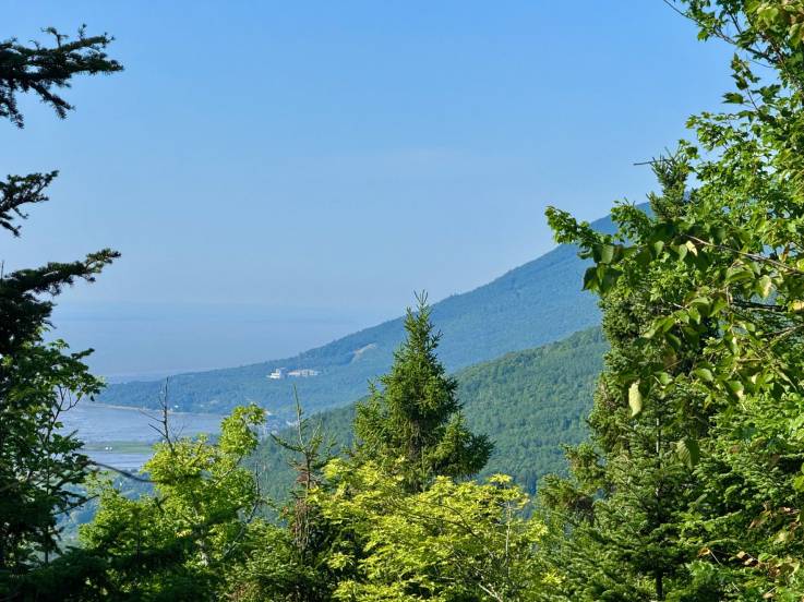 Lot and land for sale - Petite-Rivière-Saint-François, Charlevoix (PR856)