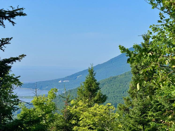 1 - Lot and land for sale, Petite-Rivière-Saint-François (Code - pr856, Charlevoix)